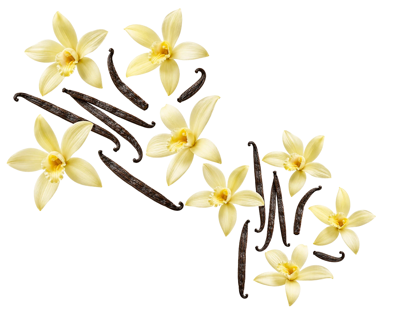 Background Decor